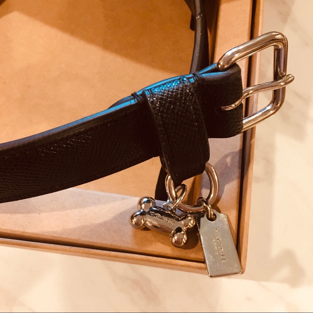Coach Dog Collar